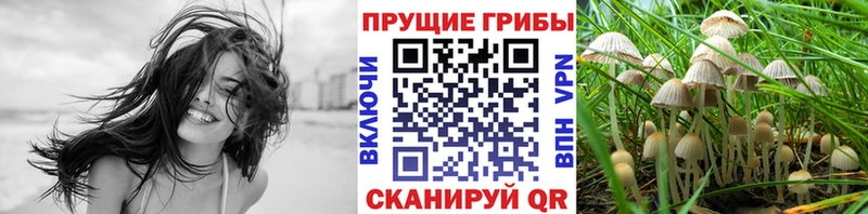 Псилоцибиновые грибы Magic Shrooms  Кунгур 