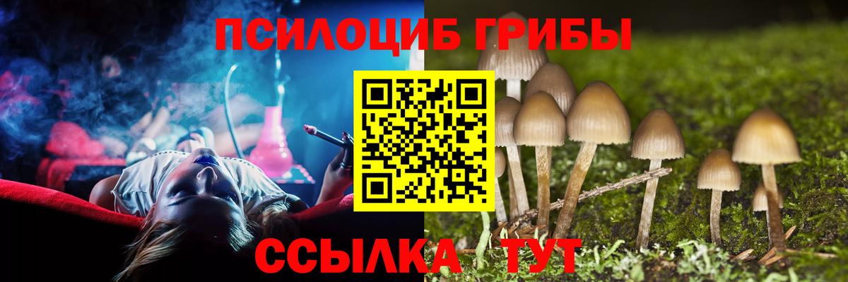 Кунгур  Псилоцибиновые грибы GOLDEN TEACHER  Вход с VPN 