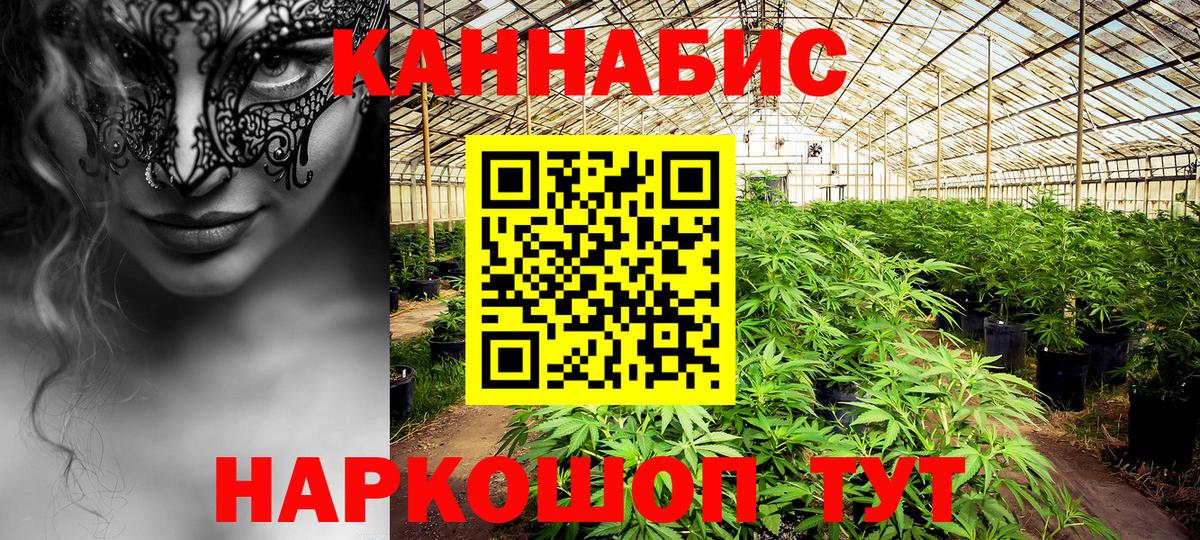 Марихуана SATIVA & INDICA Кунгур