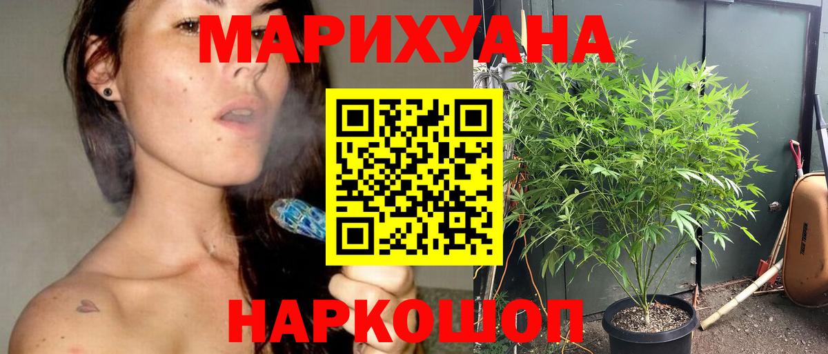 Бошки марихуана план Кунгур